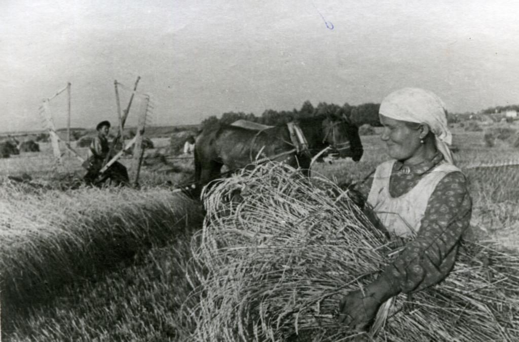 Министерство сельского хозяйства и продовольствия Республики Татарстан поздравляет работников агропромышленного комплекса со 100-летием ТАССР