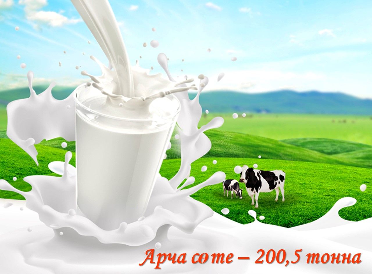 Арча районының көнлек тулай савымы 200 тоннадан узып китте!