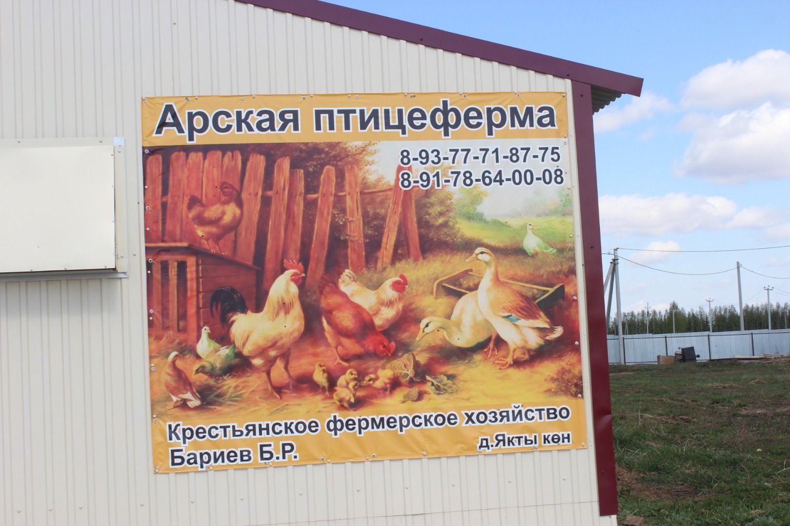 Монда тавык-чебешкә генә түгел, мондагы хозурлыкны карарга да киләләр