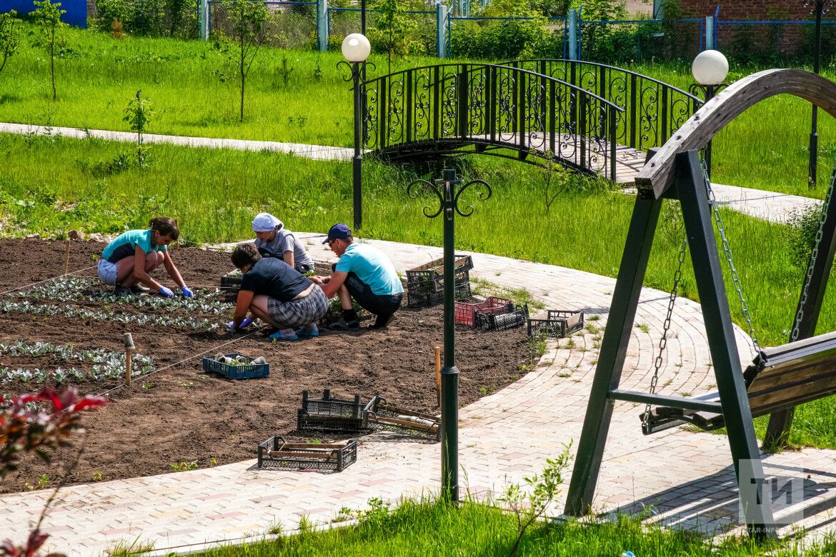 Май аена бакча календаре: кайчан нәрсә утырту отышлы?(»Интертат»)