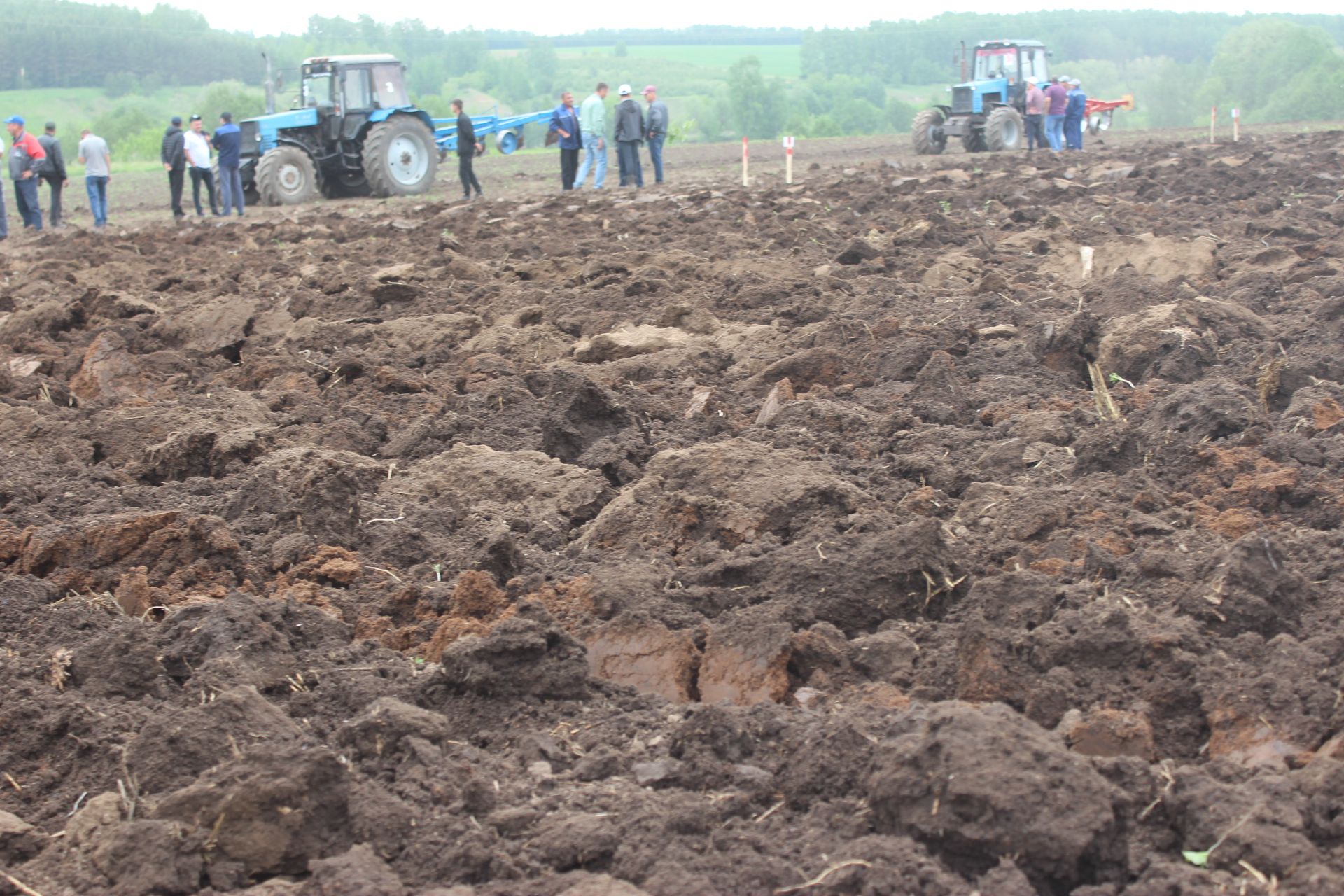 Мондый бәйгеләр бик кирәк!