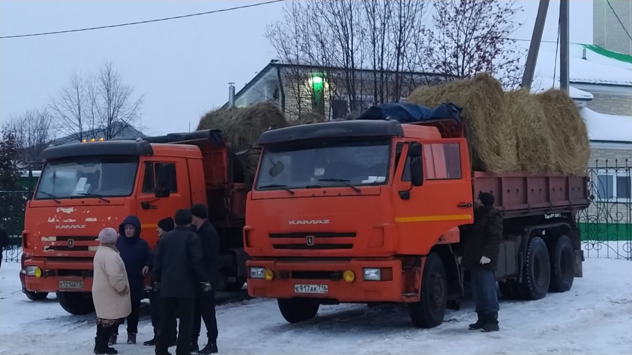 Арчада ярминкәләр гөрли