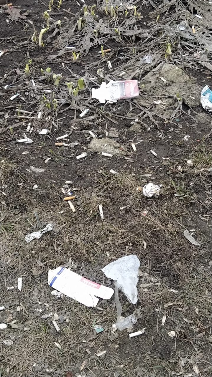 Чисталык ике айлыгы бара