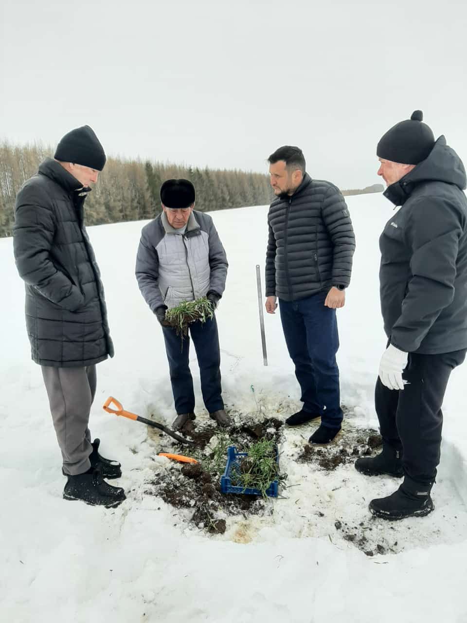 Басуларда ни хәл?