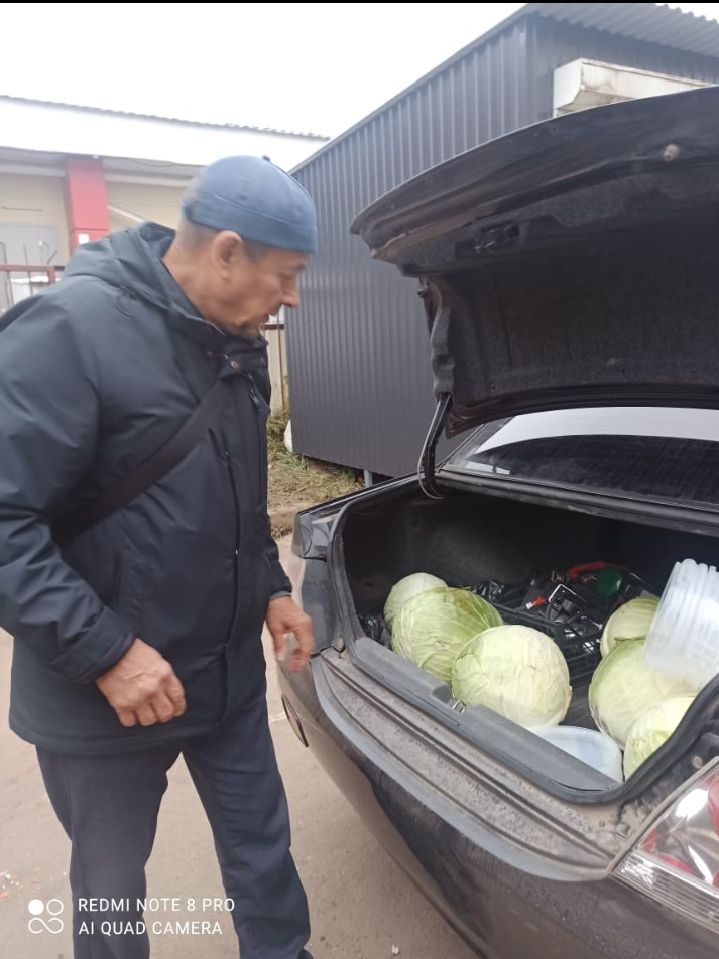 Бөтен Арча, Күпербаш халкы кәбестә тозлый