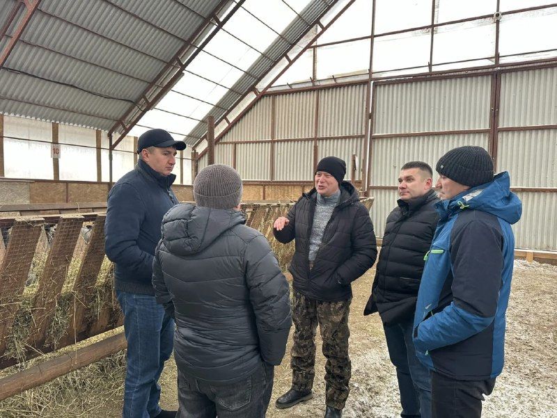Баулы районы җитәкчелеге Арчада сарыкчылык тәҗрибәсе белән танышты