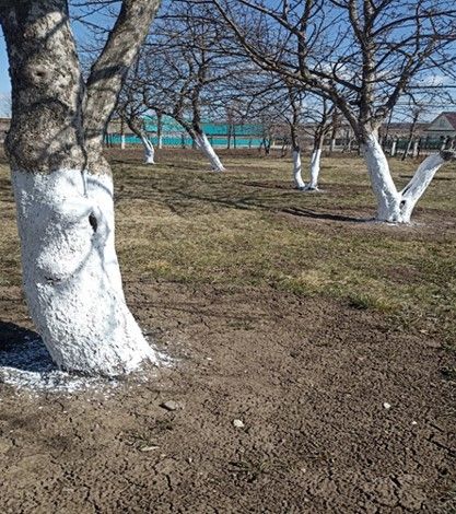 Арча районы мәктәпләре һәм балалар бакчалары “Экояз – 2025” бәйгесендә актив катнаша
