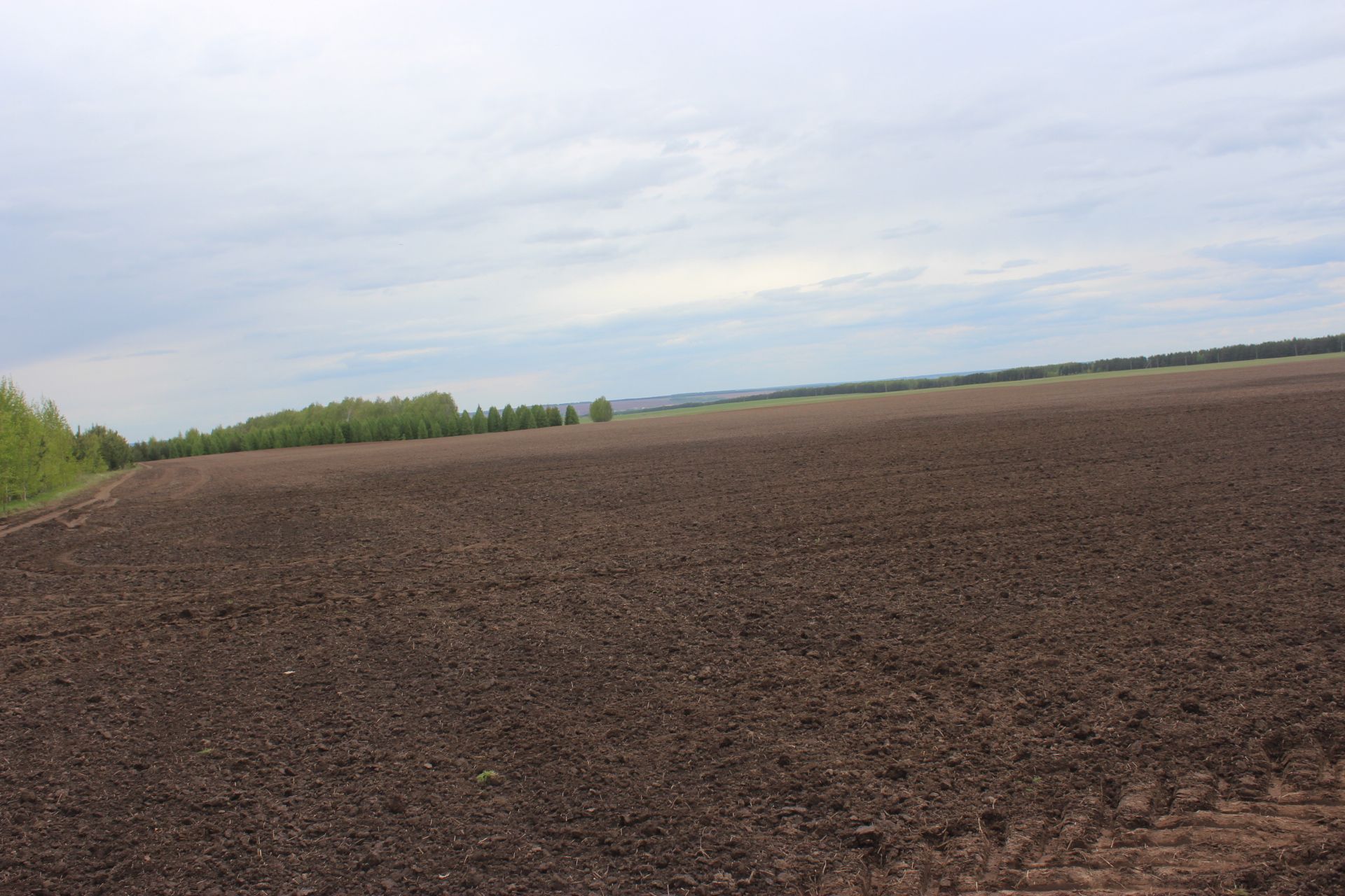 Кыр батырларына бүләкләр