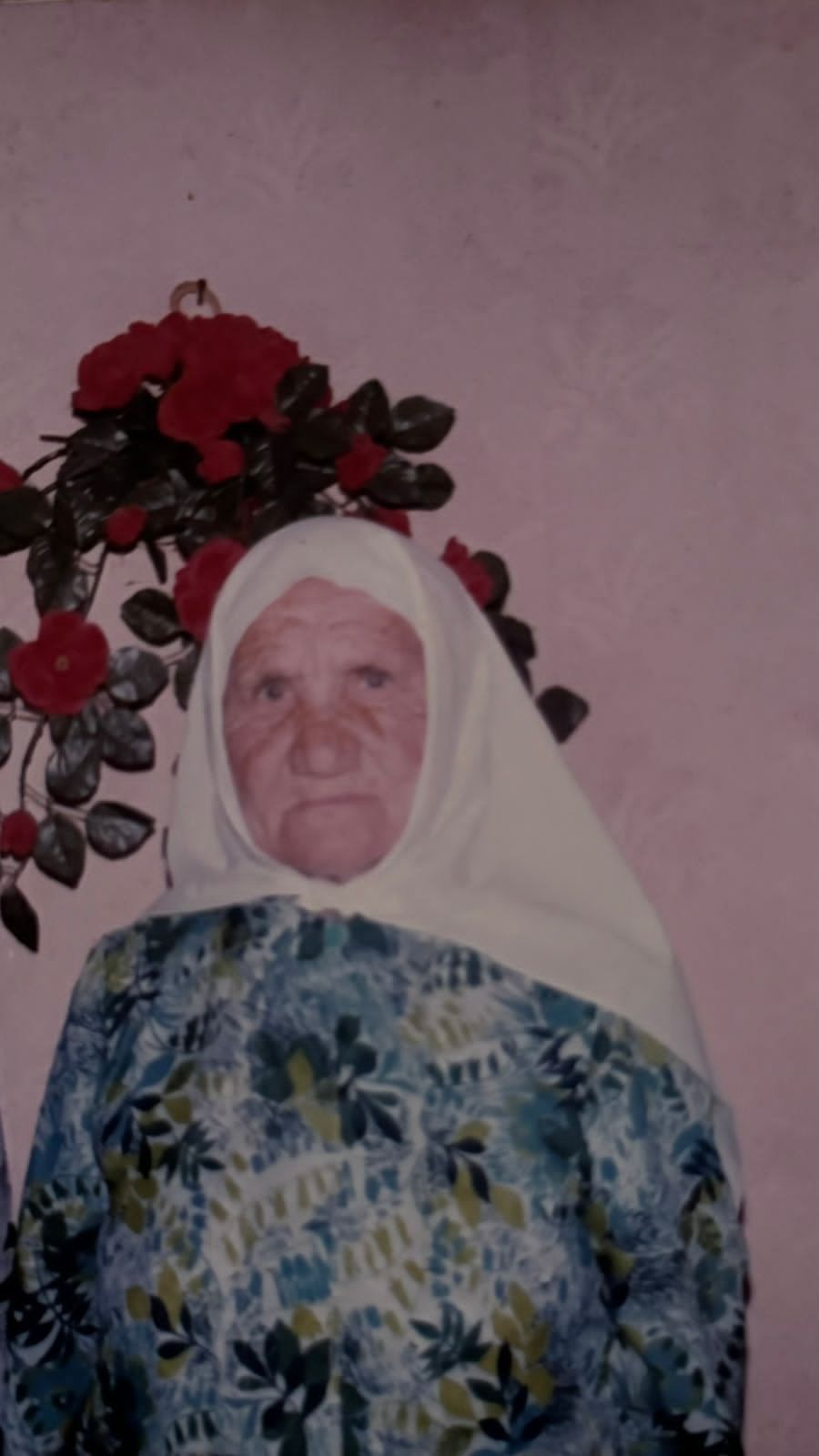 Әнисенең апасы Суслонгерда булган