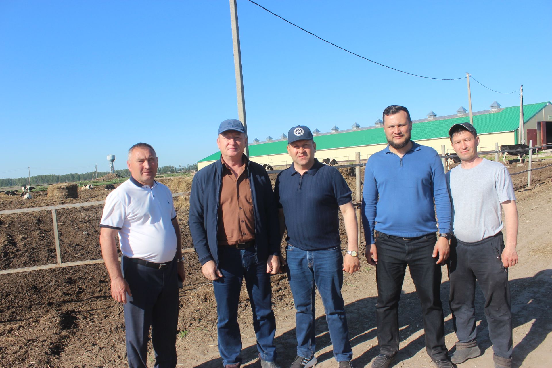 “Пионер“да сарык үрчетәләр, Шурабашта комплекс төзиячәкләр