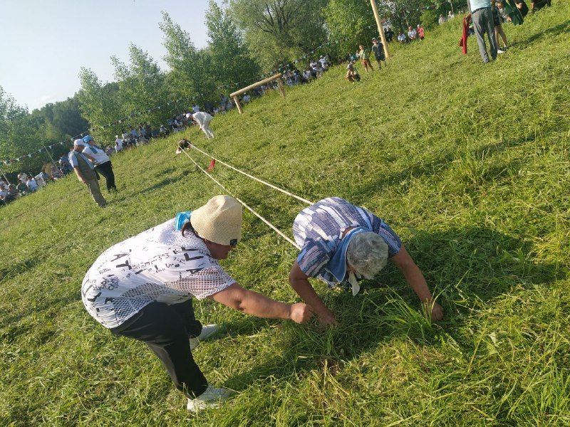 Яңа Кенәр авылында өч көрәшче тәкә алды