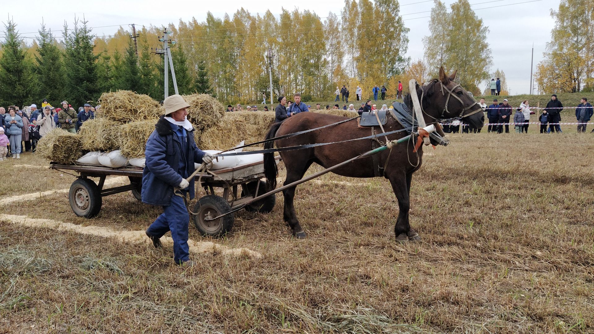 Яңа Кырлайда ат-спорт фестивале узачак