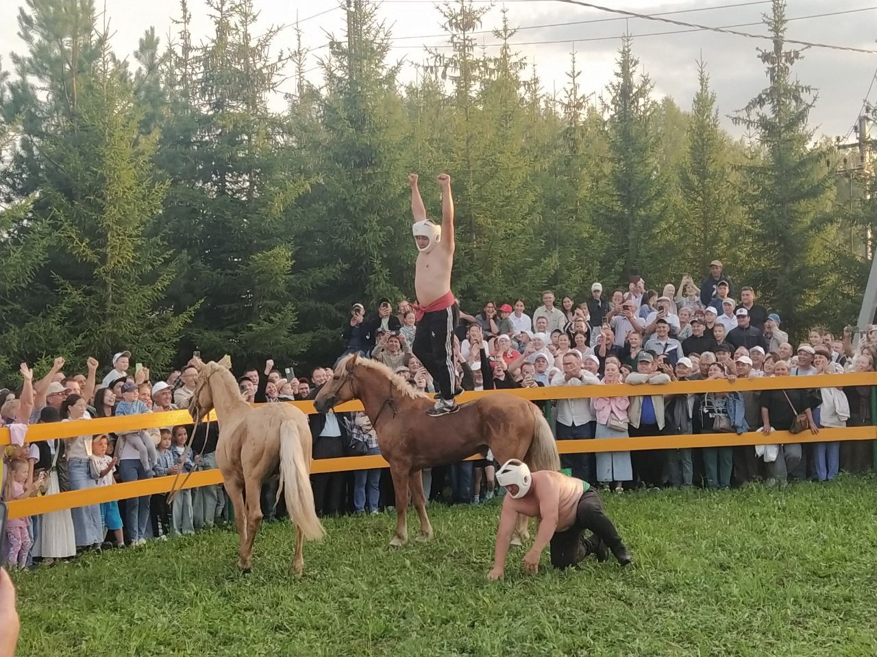 «Ат көне»ндә атларга утырып көрәштеләр
