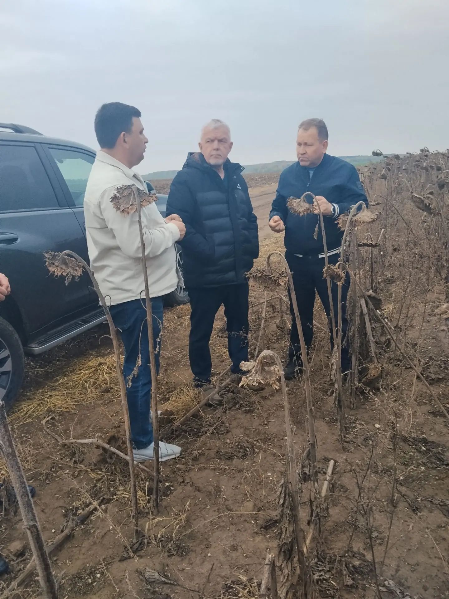 Алмаз Хисаметдинов Арча районының авыл хуҗалыгы предприятиеләре эшчәнлеге белән танышты