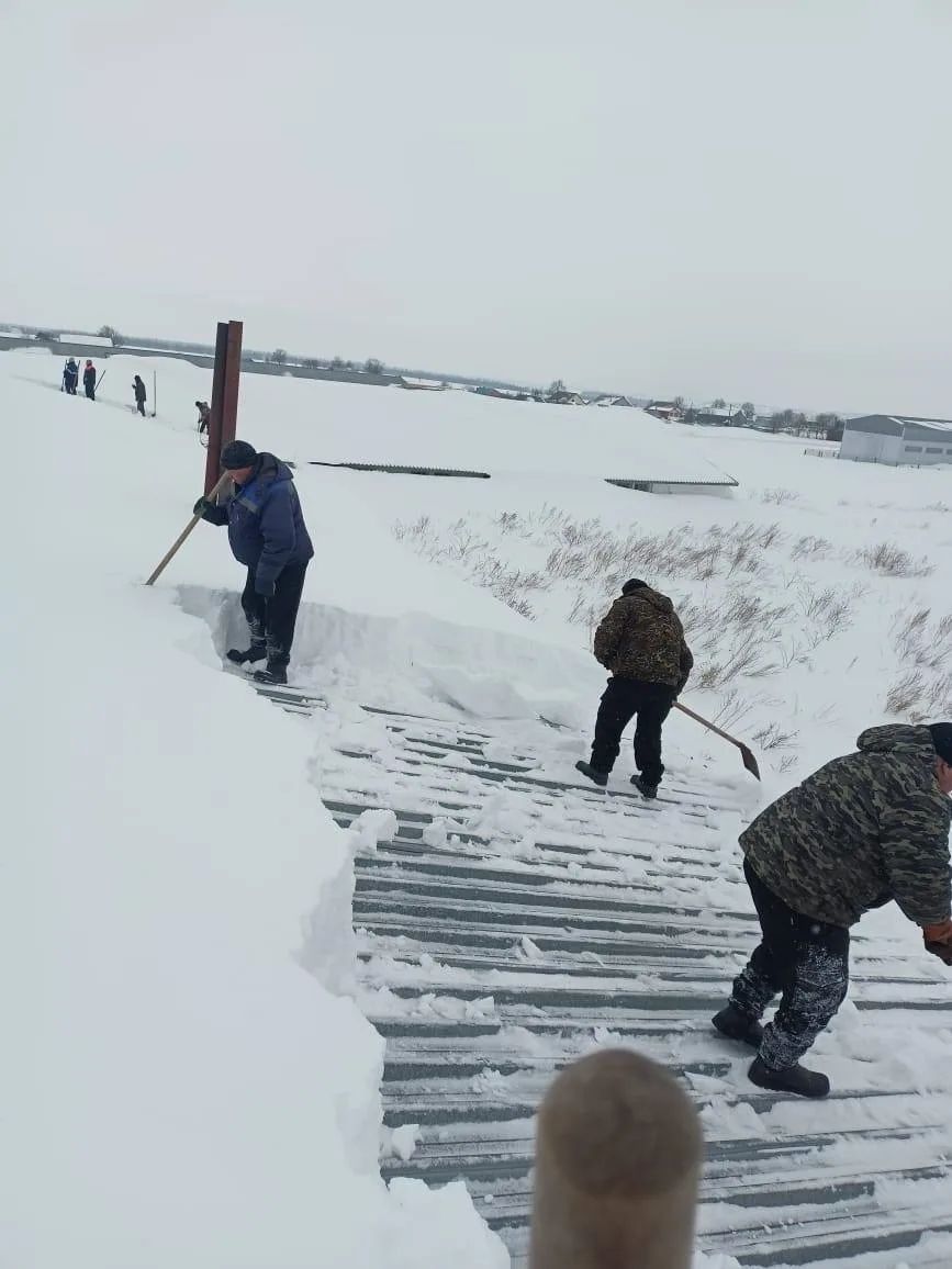 Яз кары белән тик тотмый, эшле итә