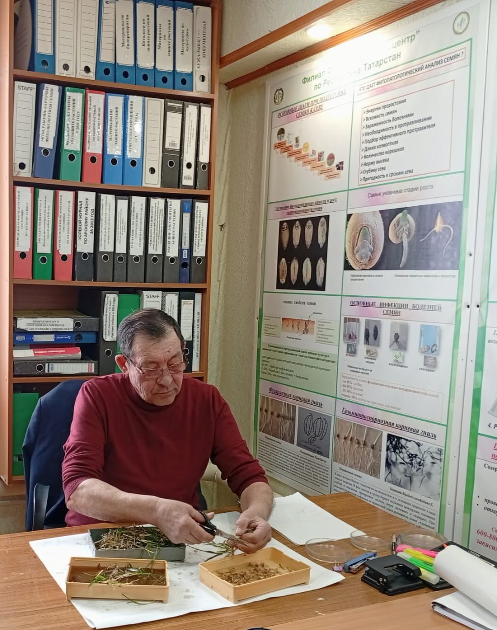 Басуларда нихәл