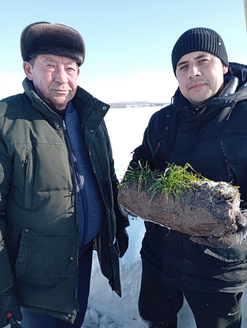 Басуларда нихәл