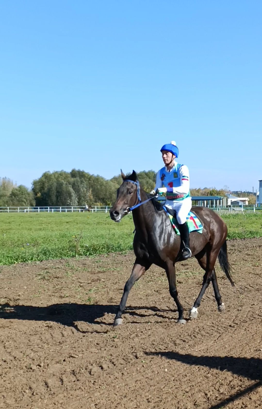 Алар ат ярата