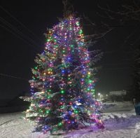 Каенсар авылында матур чыршы утыртылды