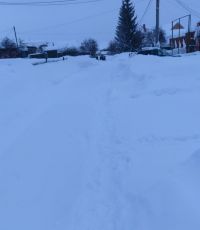 Бер-беребезгә ярдәм итик!