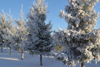 Катнашыгыз, җиңегез, бүләкләр алыгыз