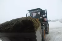 Бәйрәмдә дә эштә алар