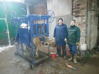 Сәламәт малның ите дә, сөте дә күп була