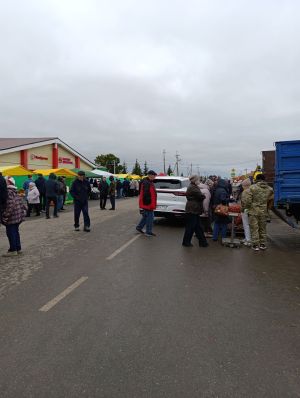 Быел грипп штамнары яңа