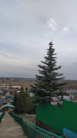 Төнлә һәм иртән яңгыр булуы ихтимал