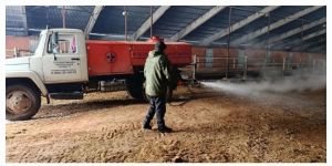 Кош гриппы: Арча районында яшәүчеләргә нәрсә белергә кирәк