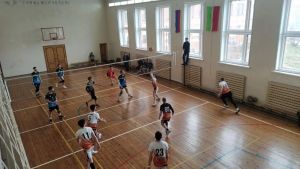 Яңа Кенәрдә Арча районы башлыгы призына волейбол турниры узды