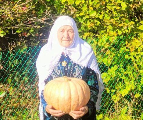 «Алтын гомер көзем» бәйгесенең җиңүчеләре билгеләнде
