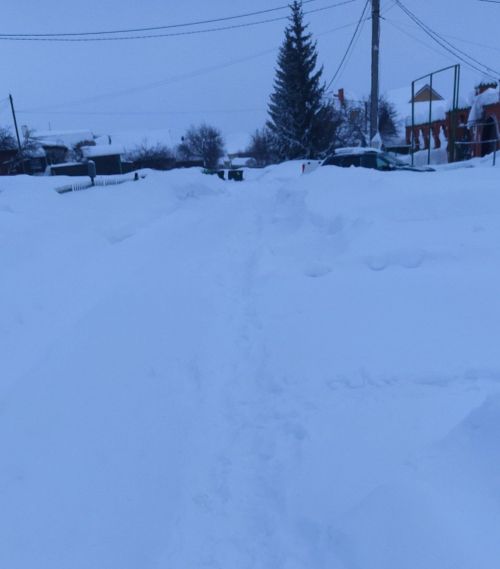 Бер-беребезгә ярдәм итик!