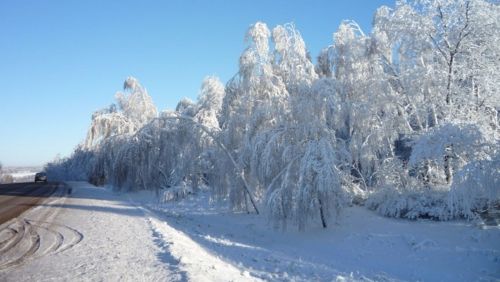 Февраль нинди булыр?