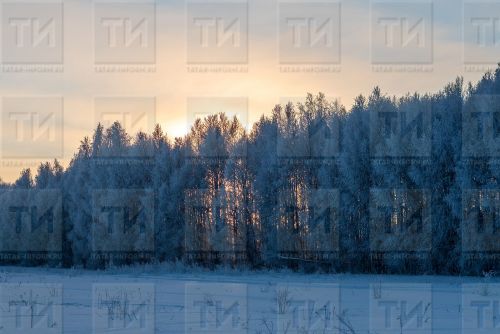 Атна уртасына Татарстанда суытачак