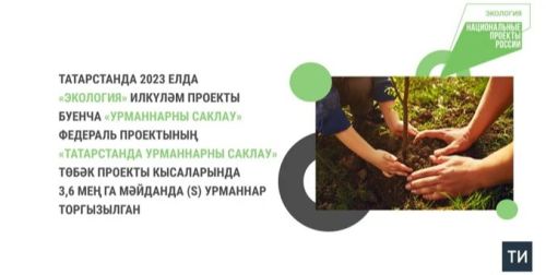 2023 елда Татарстанда илкүләм проект буенча 3,6 мең гектар урманнар торгызылган