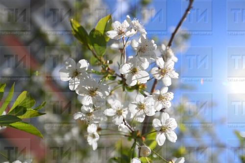 Көтелмәгән күңелле вакыйгалар көтә: йолдызнамә (22 февраль – 1 март)