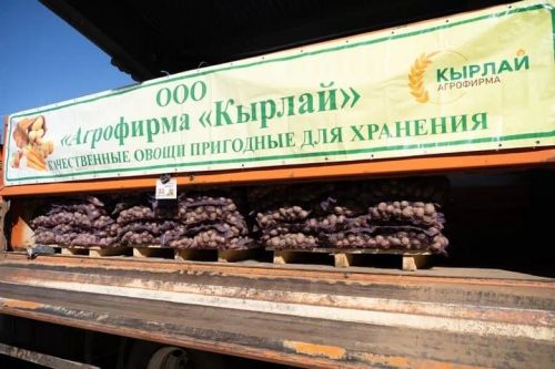 Казандагы Арча ярминкәсен Татарстан Республикасы Рәисе Рөстәм Миңнеханов карады