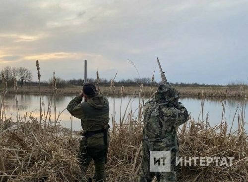 Актаныш аучысы Ильяс: «Аучылыкны кыргыйлык һәм гөнаһ дию – дөрес түгел» («Интертат» , Энҗе Габдуллина)