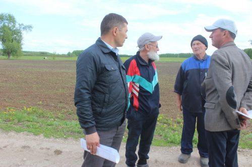 Килде шундый замана яки Ташкичүдә ни өчен көтү чыга алмый?
