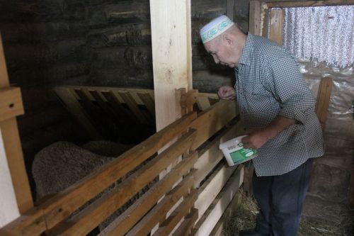 Язмышларда шулай язылгандыр