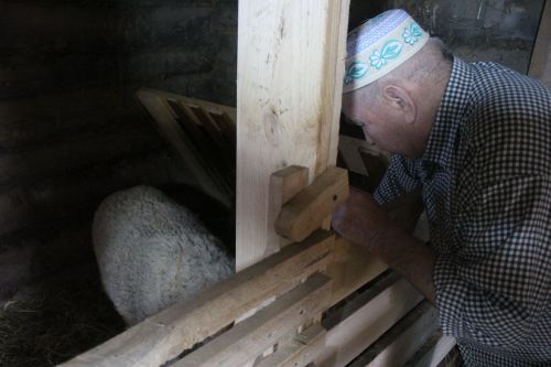 Язмышларда шулай язылгандыр
