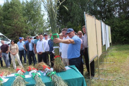 “Ак барс” агрокомплексы” ширкәтендә киңәшмә