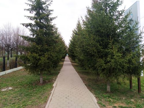 Иртәгә һава торышы нинди була?