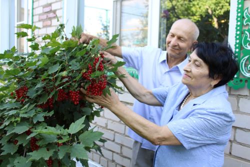 Арчалар Республика Рәисе белән очрашуда