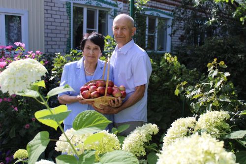 Арчалар Республика Рәисе белән очрашуда