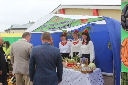 Арчада мәктәп ярминкәсе гөрли (фоторепортаж)