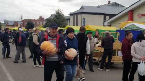 Арча ярминкәсен халык көтеп ала. Бу сату-алу гына түгел, бу мәктәп коллективларының үзара күрешүе дә
