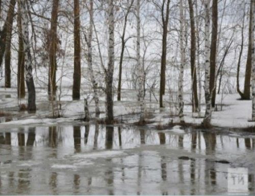 Яз һәм җәйгә фаразлар: су басулар булырмы һәм җәй былтыргысына охшармы?