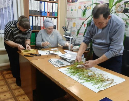 Басуларда ни хәл?
